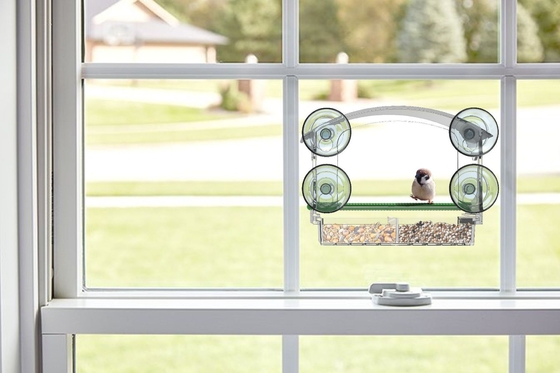 Plexiglás de acrílico ventana de aves alimentador fácil de instalar logotipo personalizado con bandeja extraíble