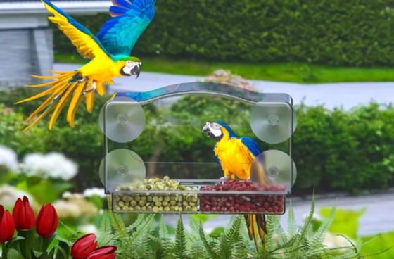 Comedor de aves acrílico funcional Comedores de ventanas sostenibles para mascotas OPP Bolsa de embalaje personalizada