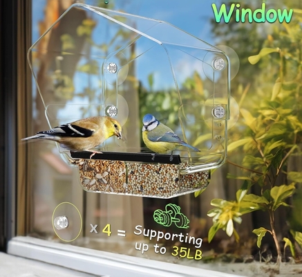 Tamaño ajustable Alimentador de aves acrílico Vista grande Alimentador de mascotas claro Diseño conveniente