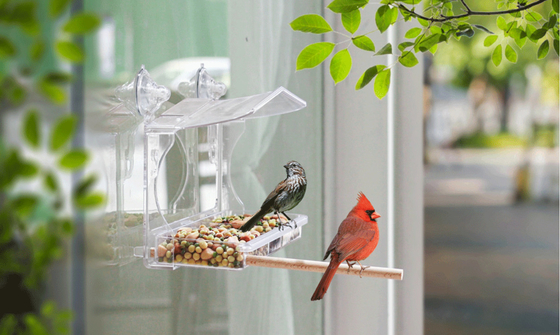 Copas de succión fuerte ventana de plexiglás alimentador de aves transparente acrílico casita de pájaros