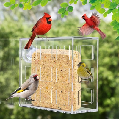 Ventana Acrílico Alimentador de pájaros colgante montaje transparente de plexiglás Casa de pájaros OEM