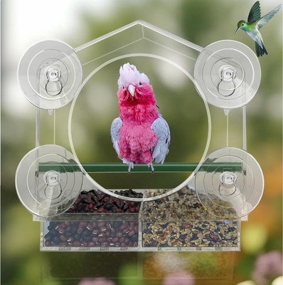 Comedor de aves de acrílico resistente al agua con ventosas para ventanas fácil limpieza y relleno