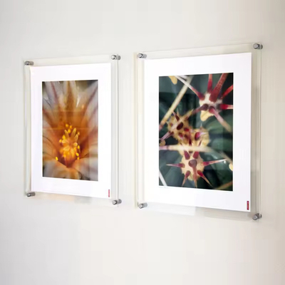 Decoración Fotogramas flotantes de acrílico de 13' x 16' con paredes metálicas