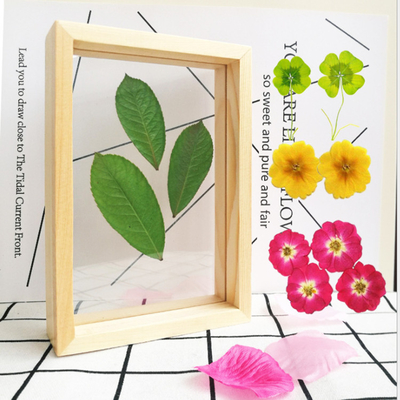 Madera sólida creativa y acrílica de dos lados Especimen de planta marco transparente Color original de madera marco de imagen 3D Pared de fondo