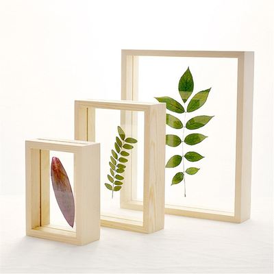 Madera sólida creativa y acrílica de dos lados Especimen de planta marco transparente Color original de madera marco de imagen 3D Pared de fondo