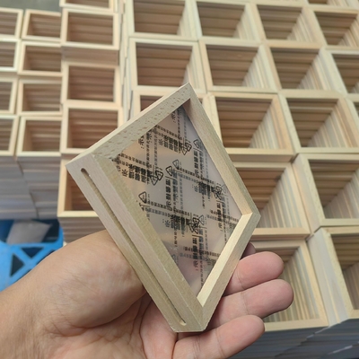 Madera sólida creativa y acrílica de dos lados Especimen de planta marco transparente Color original de madera marco de imagen 3D Pared de fondo